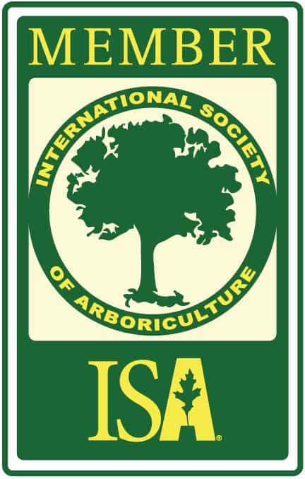 Tree work