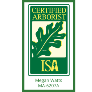 Megan's ISA Certified Arborist credential