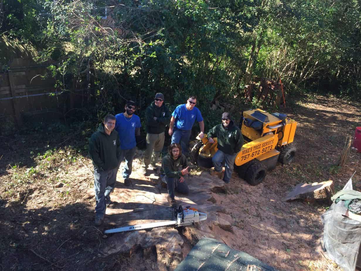 Stump grinding
